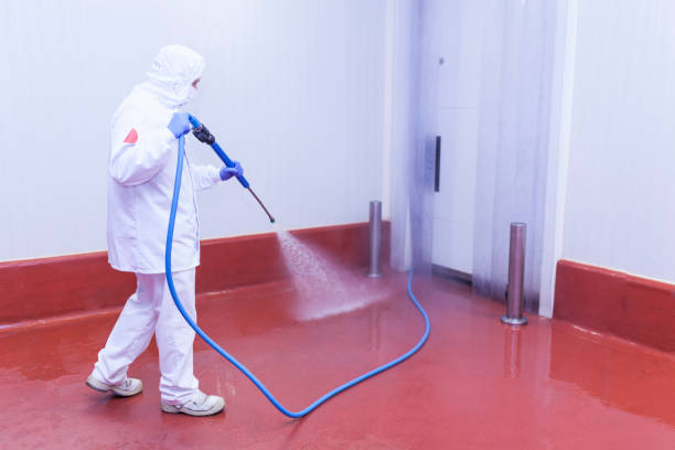 Best Spring Cleaning  in De Motte, IN