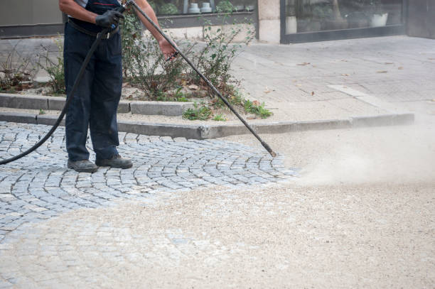 Best Building Exterior Washing  in De Motte, IN