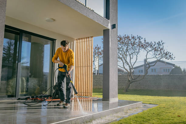 Best Driveway Pressure Washing  in De Motte, IN