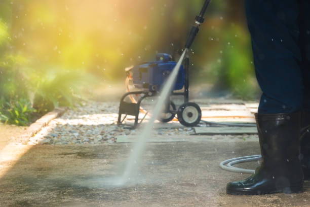 Best Solar Panel Cleaning  in De Motte, IN
